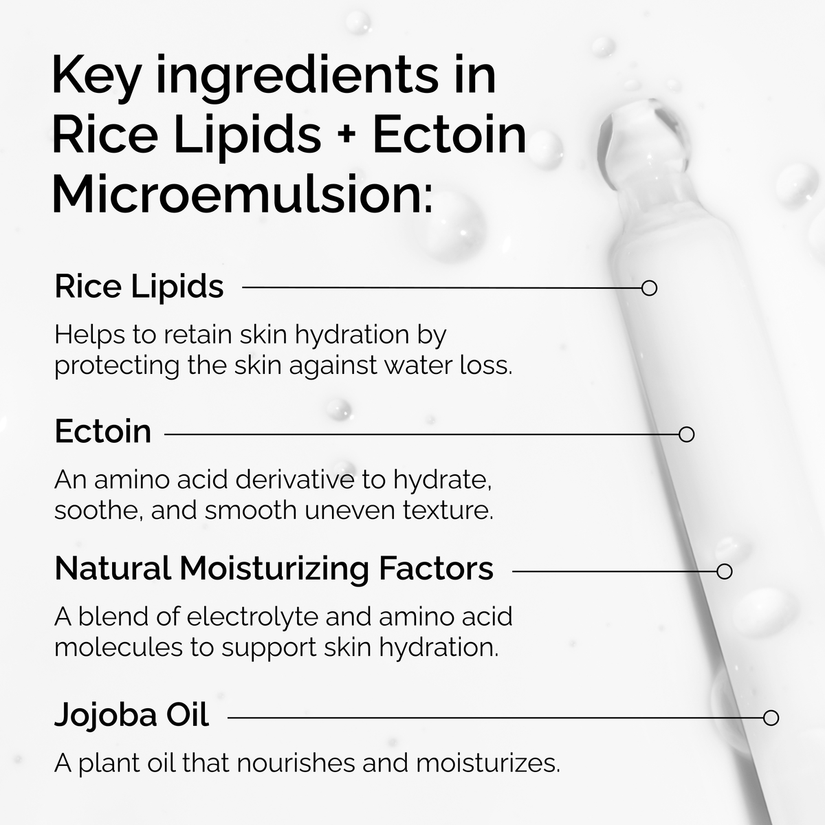 rice-lipids-ectoin-microemulsion-o8 ord-rice-lipids-ectoin-microemulsion-key-ingredients.png