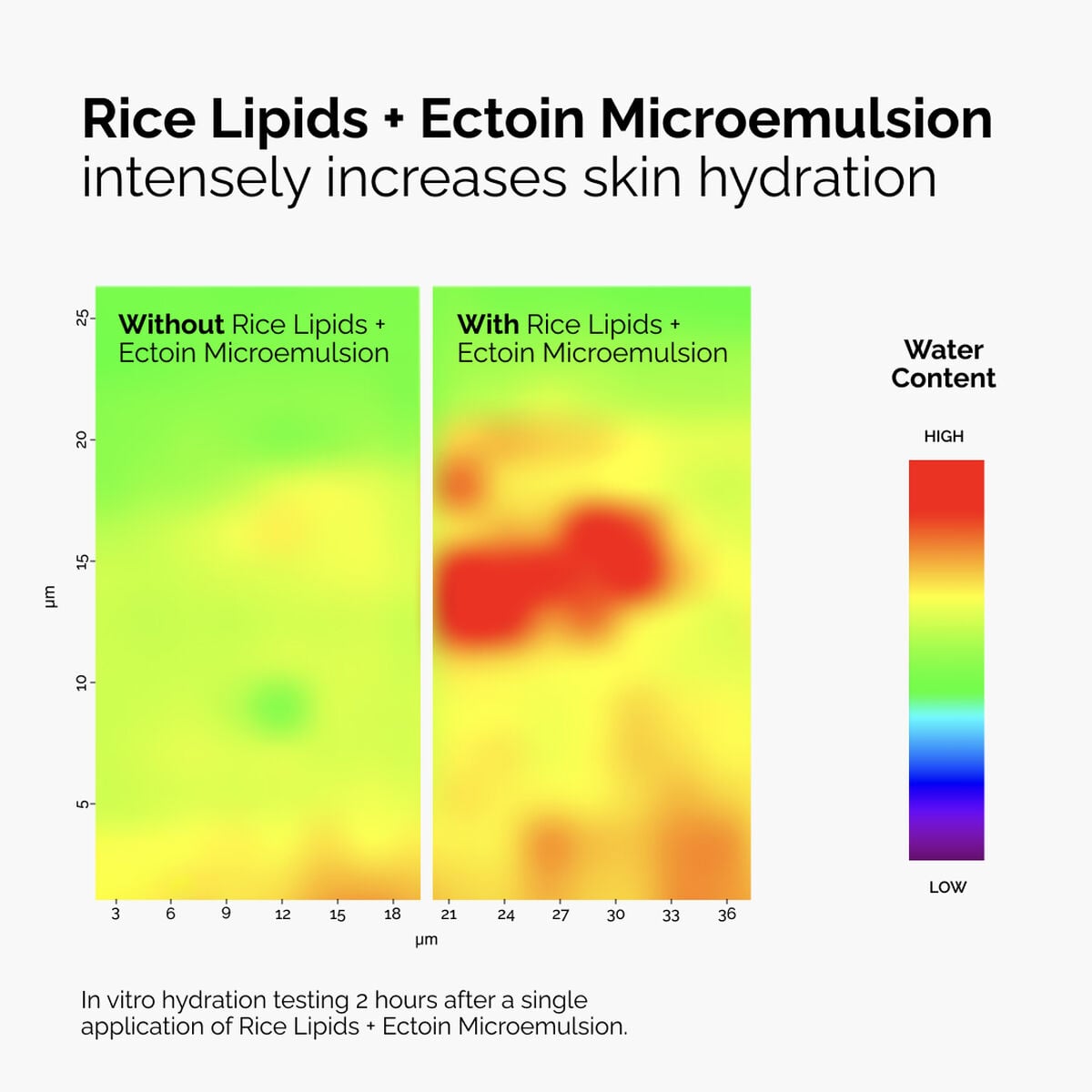 rice-lipids-ectoin-microemulsion-o8 ord-rice-lipids-ectoin-microemulsion-thermal-before-after.jpg